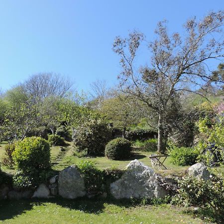 Fern Villa B&B Fishguard Esterno foto