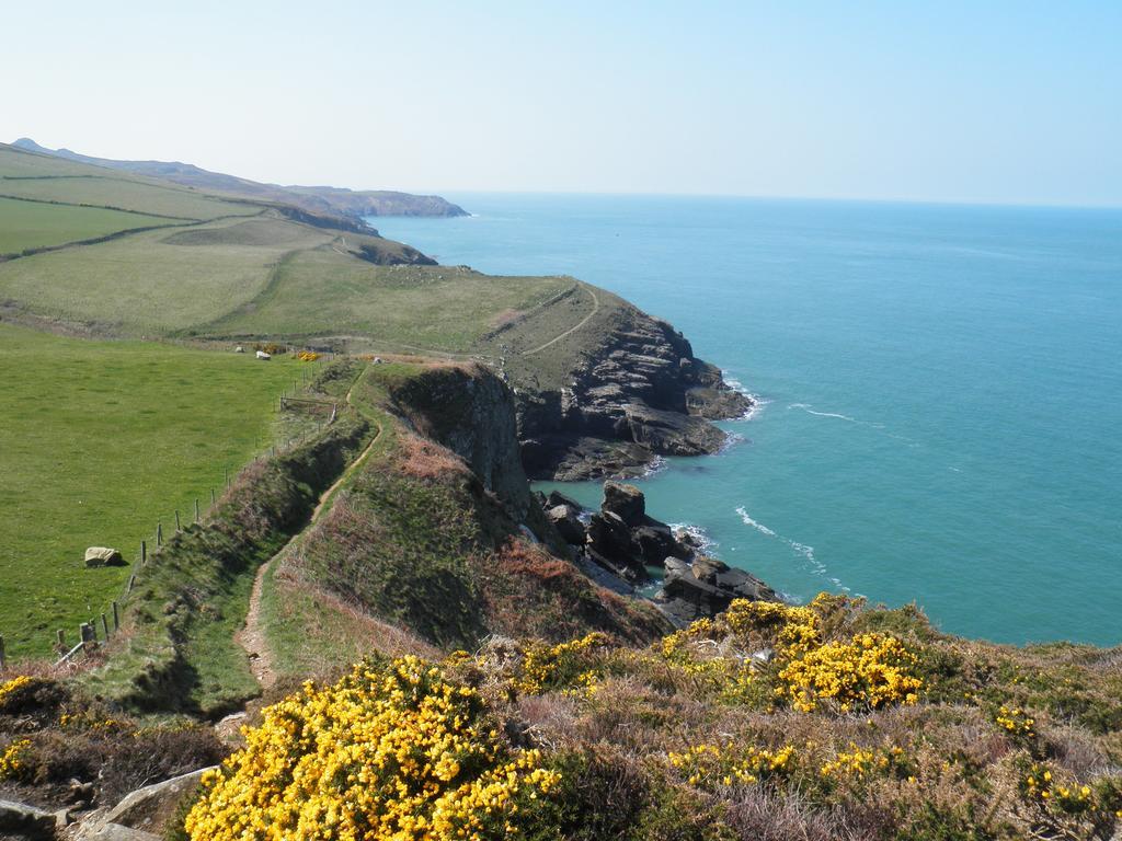 Fern Villa B&B Fishguard Esterno foto