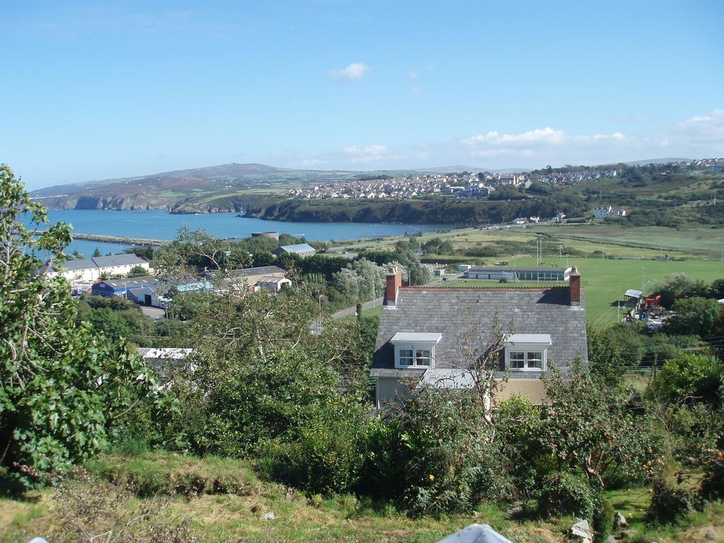 Fern Villa B&B Fishguard Camera foto