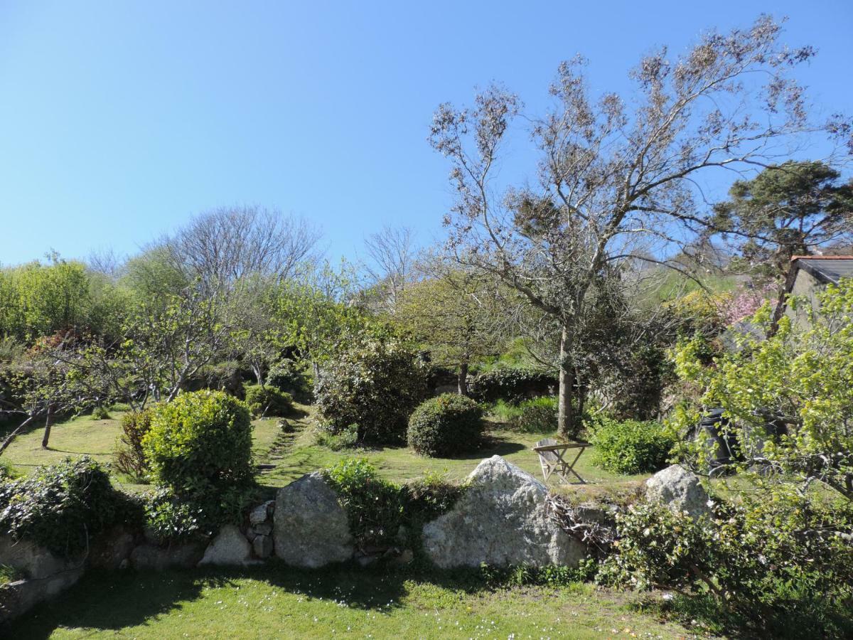 Fern Villa B&B Fishguard Esterno foto